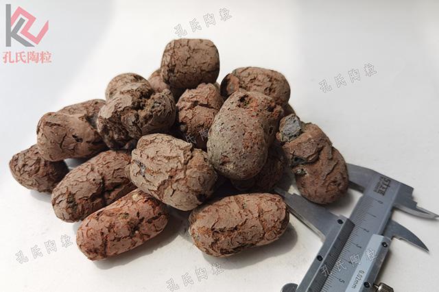 頁岩(yan)陶粒(li)10-30mm(2)